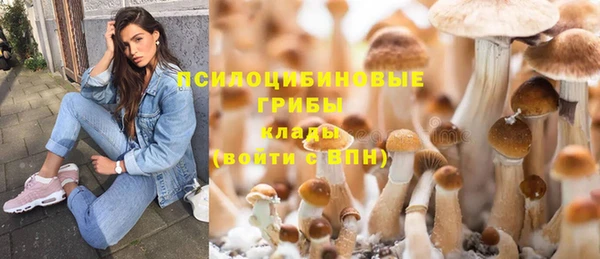 2c-b Арсеньев