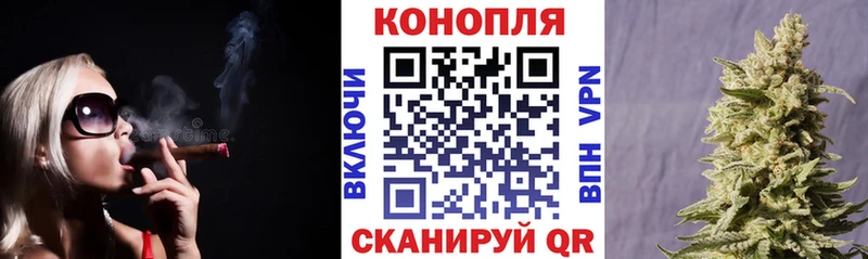 Шишки марихуана конопля mega зеркало Пролетарск наркотики